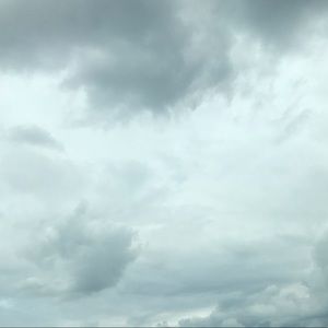 Meet your Posher, Ciera